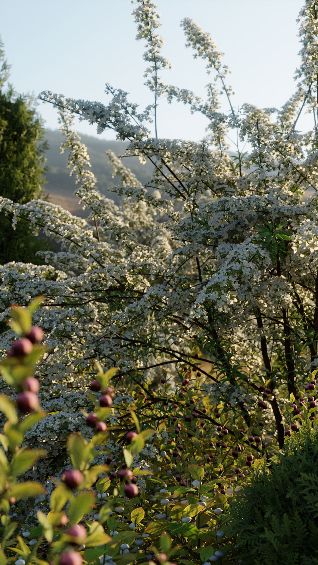 blooming shrubs